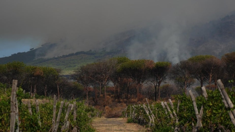 Италия: Голям пожар е обхванал националния парк на вулкана Везувий