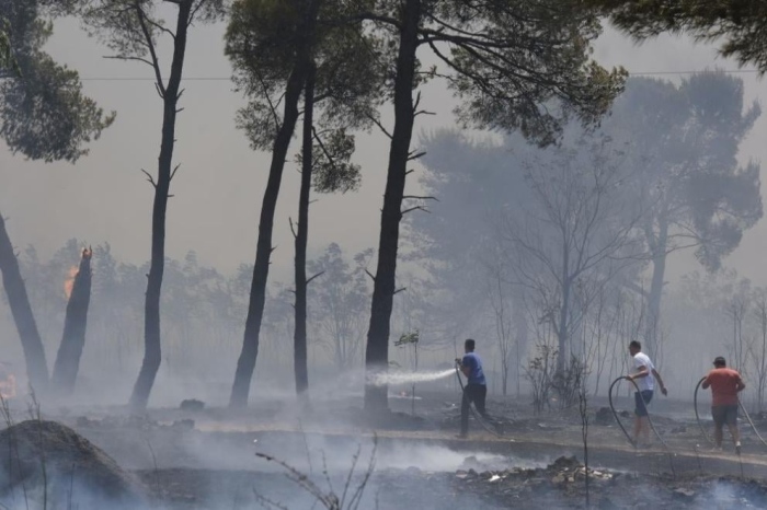Вътрешният министър: Тази седмица имаме над 1 000 пожара, Пирин и Сунгурларе са най-проблемни