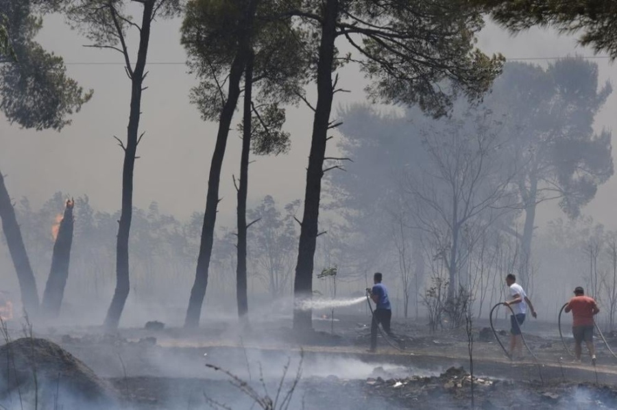 Вътрешният министър: Тази седмица имаме над 1 000 пожара, Пирин и Сунгурларе са най-проблемни