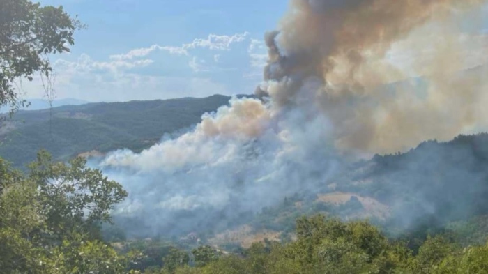 Продължава борбата с огнената стихия в Пирин! Два хеликоптера гасят от въздух  