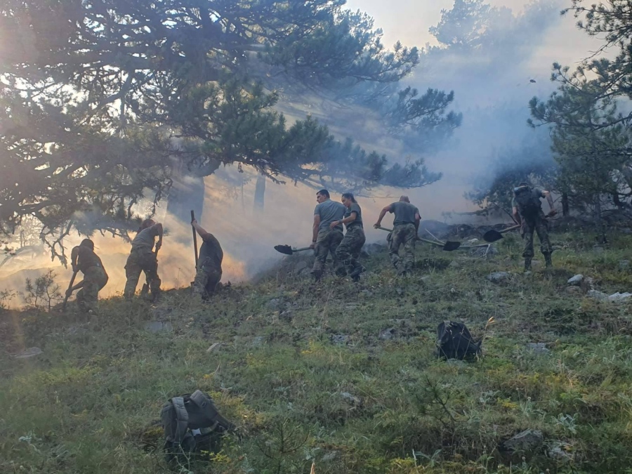 Единственият пожар извън контрол е този в Пирин