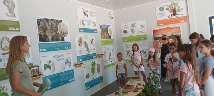 От семе до гора: Деца посетиха новия горски разсадник на ЮЗДП в Локорско!