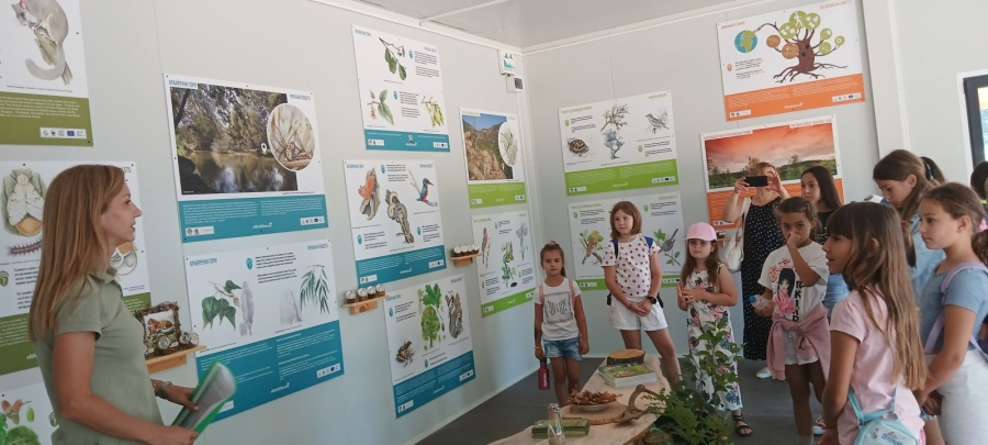 От семе до гора: Деца посетиха новия горски разсадник на ЮЗДП в Локорско!