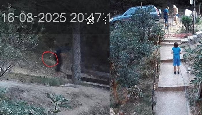 Пиян и въоръжен мъж нахлу в дома на шефа на приюта за животни в Благоевград