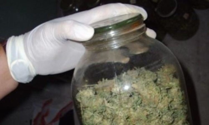 Перничанин си \