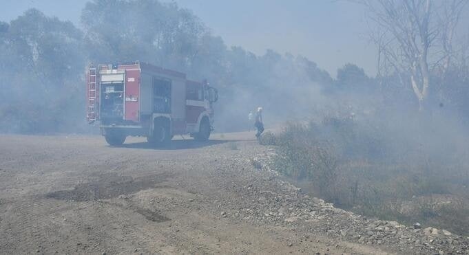 Изясняват причините за пожара край Паничарево
