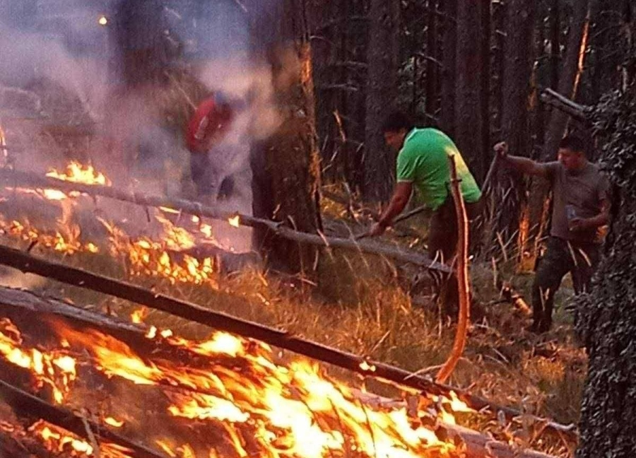 Огненият ад в Рила: Гори борова гора в изключително тежък терен