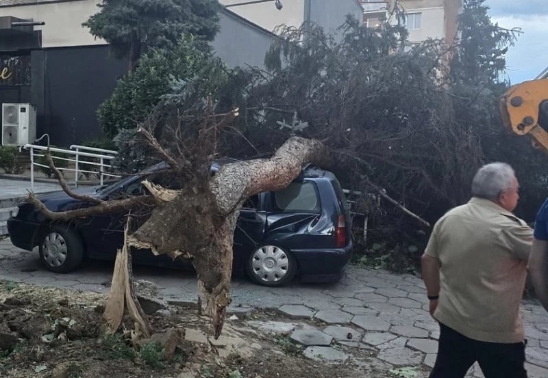 Кюстендил се възстановява след бурята! Кметът инж. Огнян Атанасов: За щастие няма жертви, един одраскан човек няма