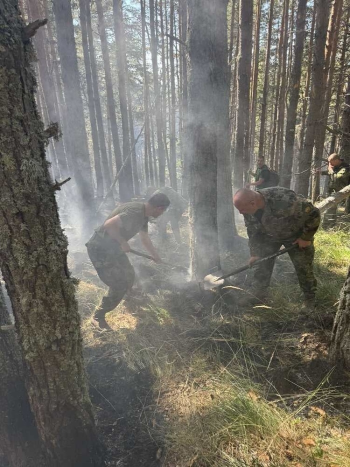 Дъждът помогна на огнеборците в НП \