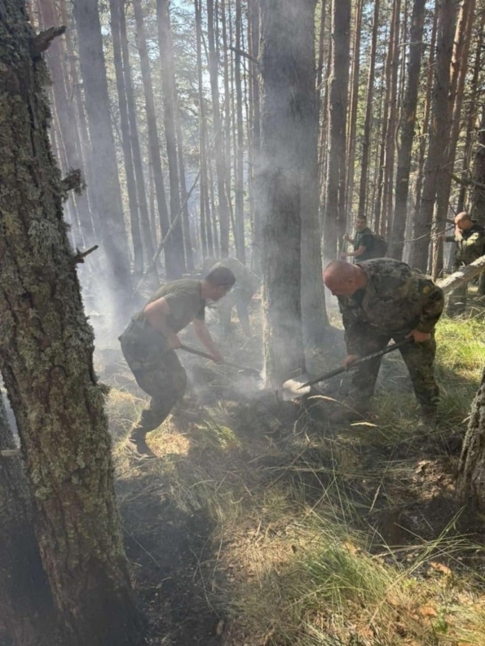Пожарът в Рила е локализиран на площ над 200 декара