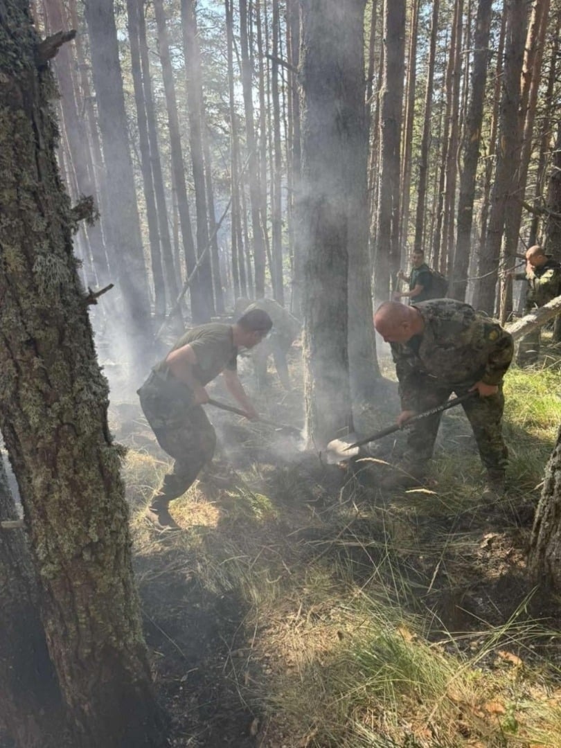 Пожарът в Рила е локализиран на площ над 200 декара