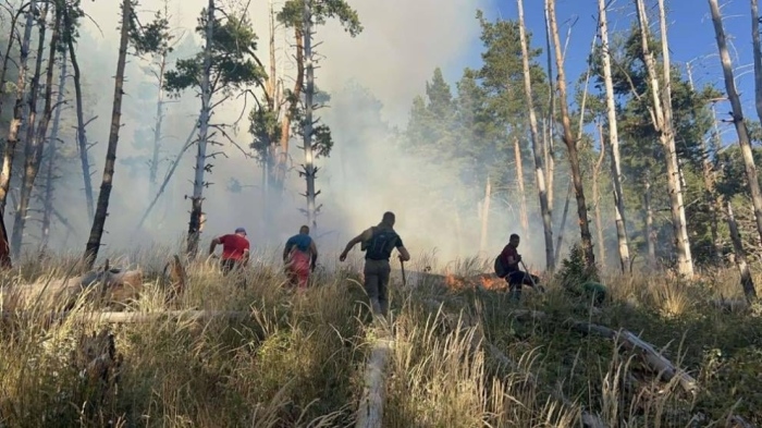 Все още има активни огнища на пожара в Националния парк \