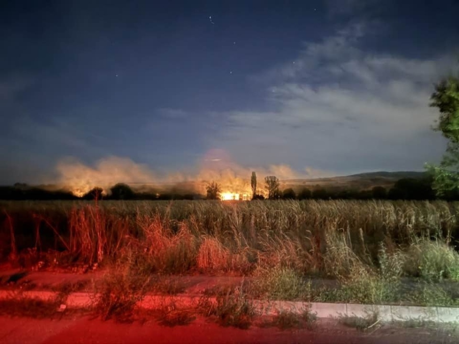 Пожар гори между селата Червен брег и Крайници