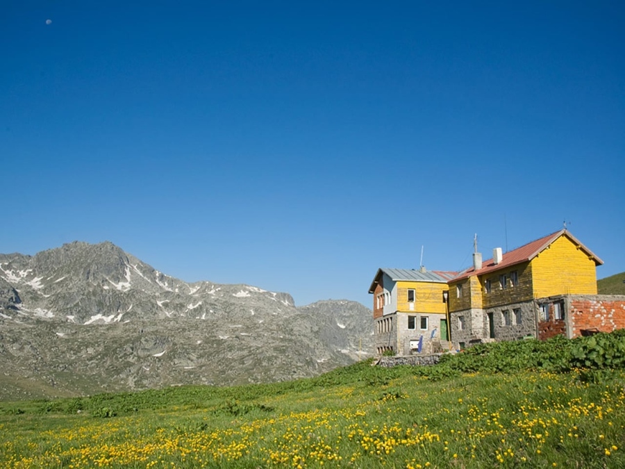 Пожар между Рилския манастир и хижа \