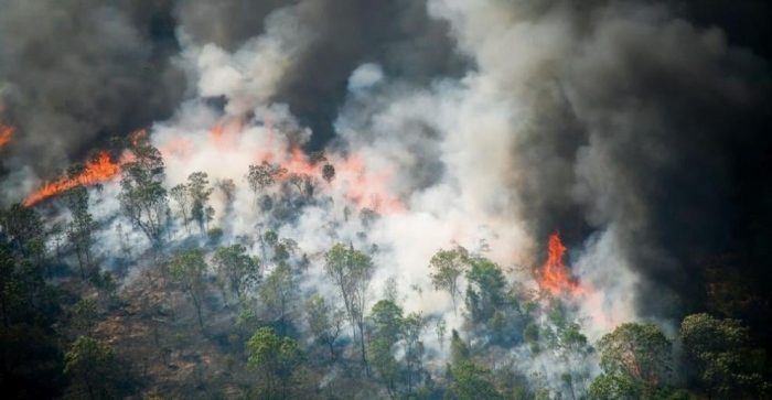 Около 600 дка изпепели пожарът в Рила над Илийна река, прогнозата за дъжд дава надежди (Обновено)