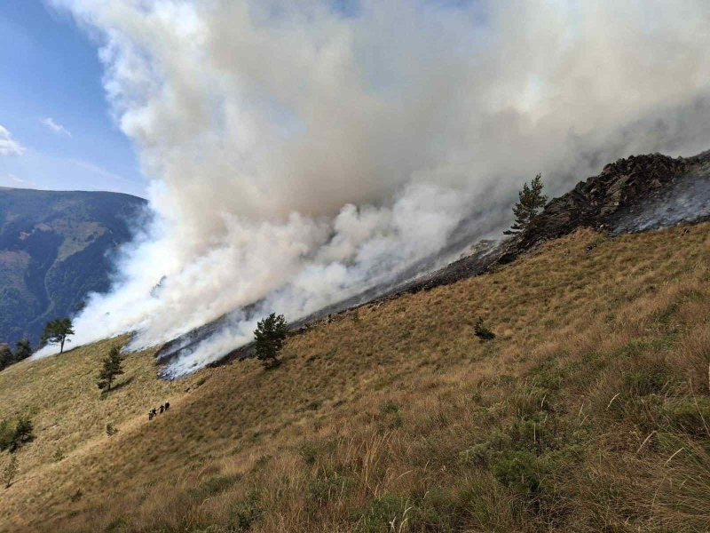 Пожарът в Рила над Илийна река е овладян от три страни