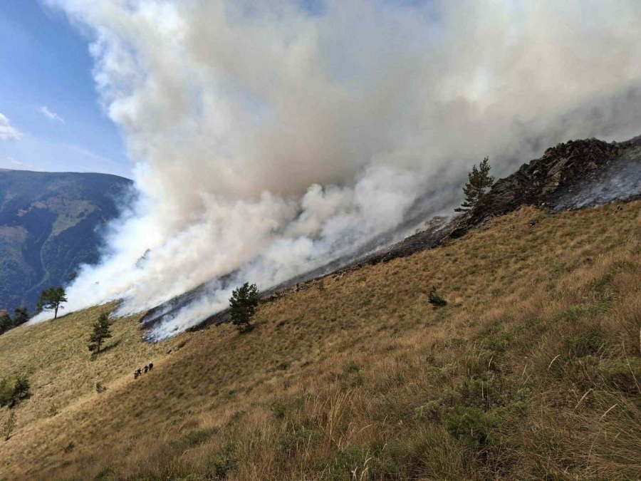 Пожарът в Рила над Илийна река е овладян от три страни