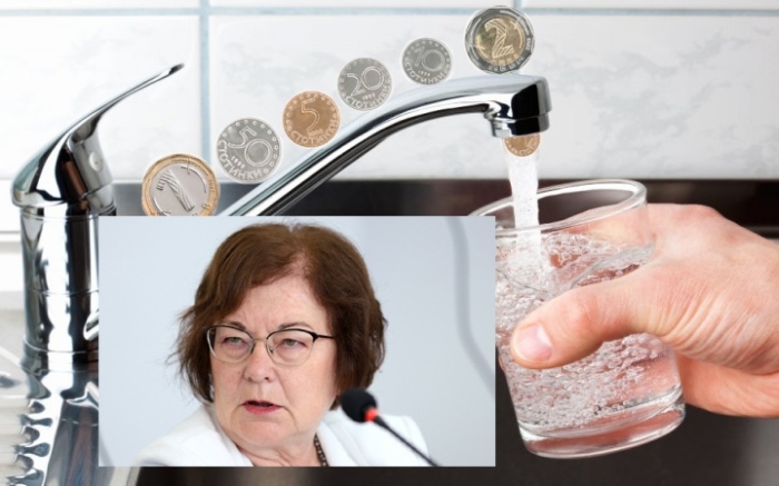 Донка Михайлова: Добре работещите общински ВиК дружества не бива да бъдат убивани – законът ощетява гражданите