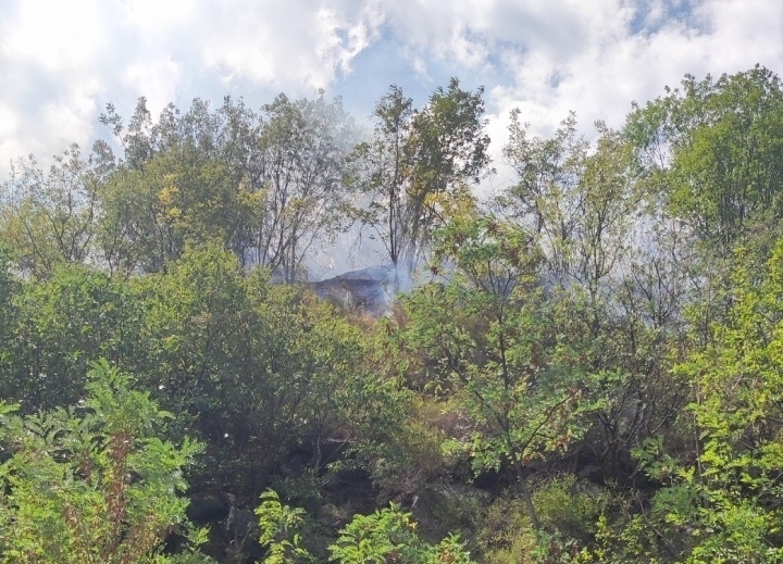 Пожар пламна в Кресненското дефиле в района на ханчетата, движението се регулира