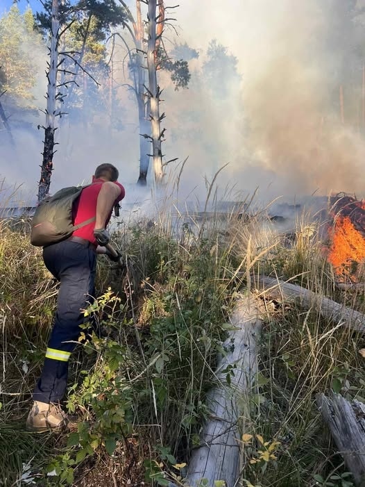 Цената на огъня! Над 16 млн. лв. са щетите след пожара в Пирин