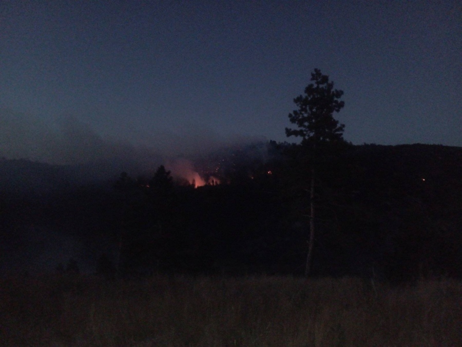 Голям пожар пламна над брезнишкото село Горни Романци, горят над 120 дка бял и черен бор