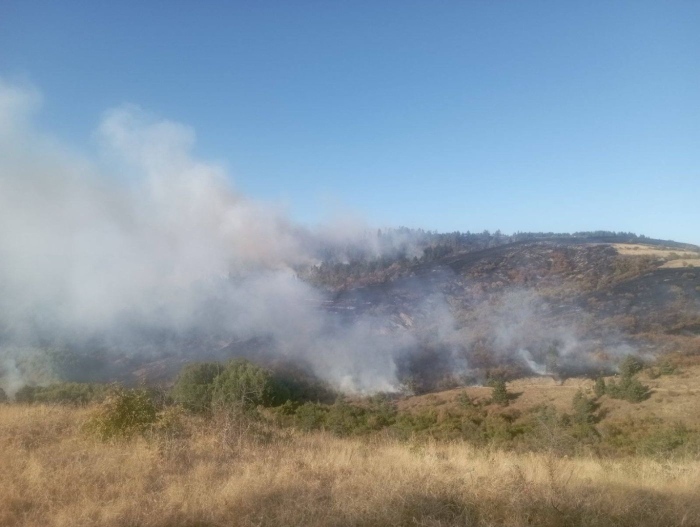Пожарът над брезнишкото село Горни Романци е ограничен