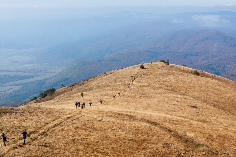Атлети от цял свят се готвят за \
