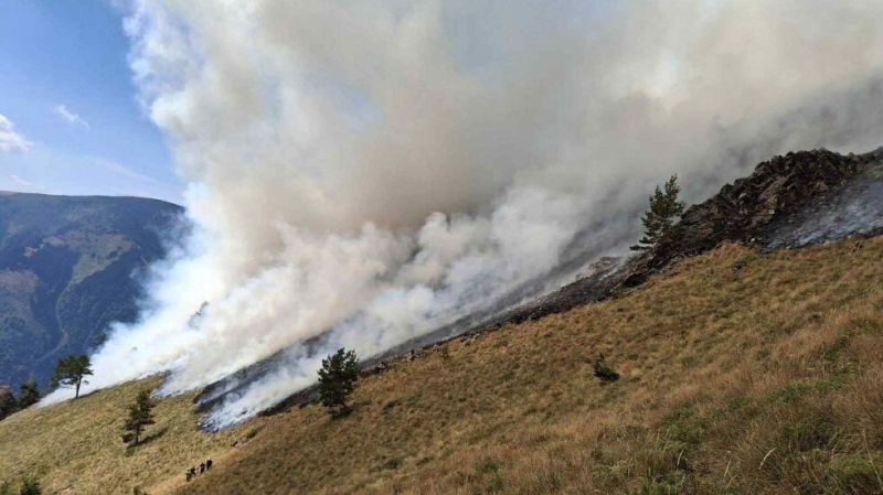Равносметката след тежкото лято: Над 2600 дка е засегнатата площ от пожарите в Национален парк \