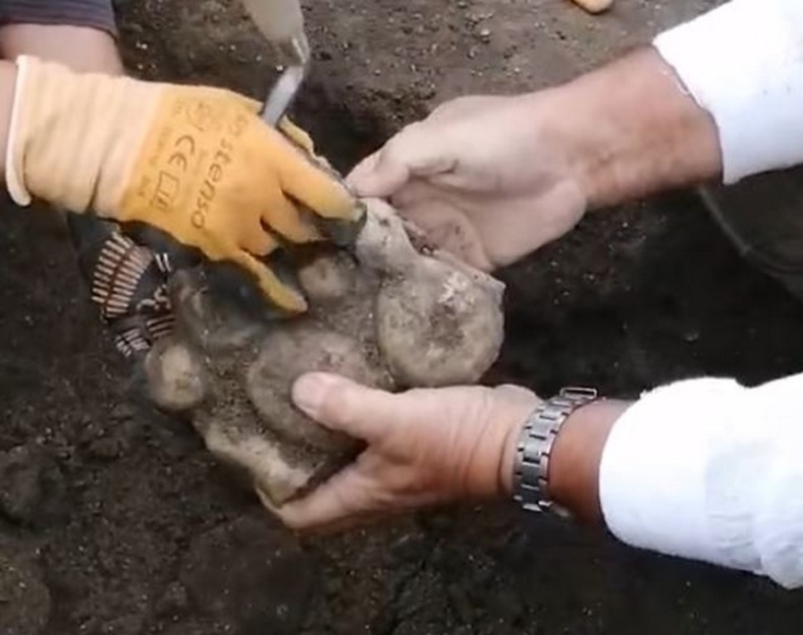 Уникално: Херакъл от Хераклея Синтика е държал трите ябълки от градината на Хесперидите