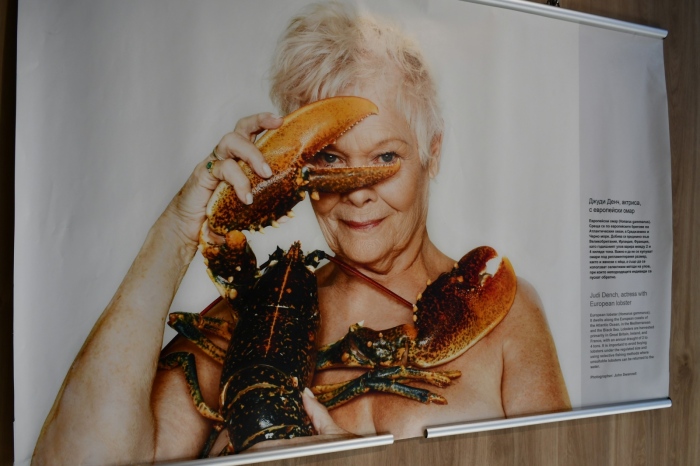 Звезди позират с морски обитатели в Петрич