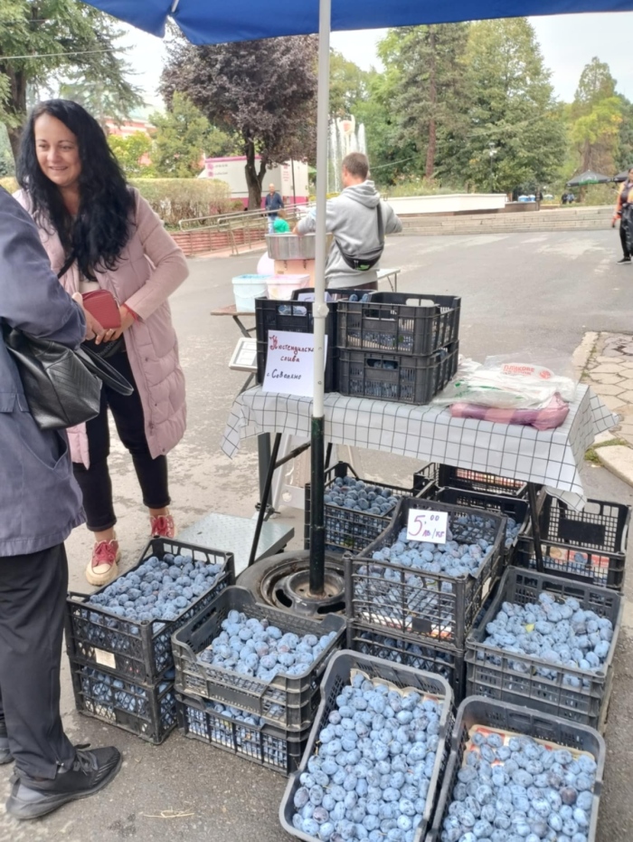 В Кюстендил сливите са сочни като клюките на пазара…