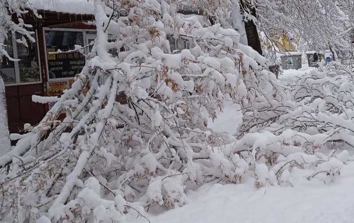 Множество кюстендилски села са без ток след падналия сняг