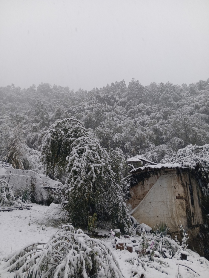 Бедствено положение и на територията на община Трън ! Задействана е системата BG-ALERT