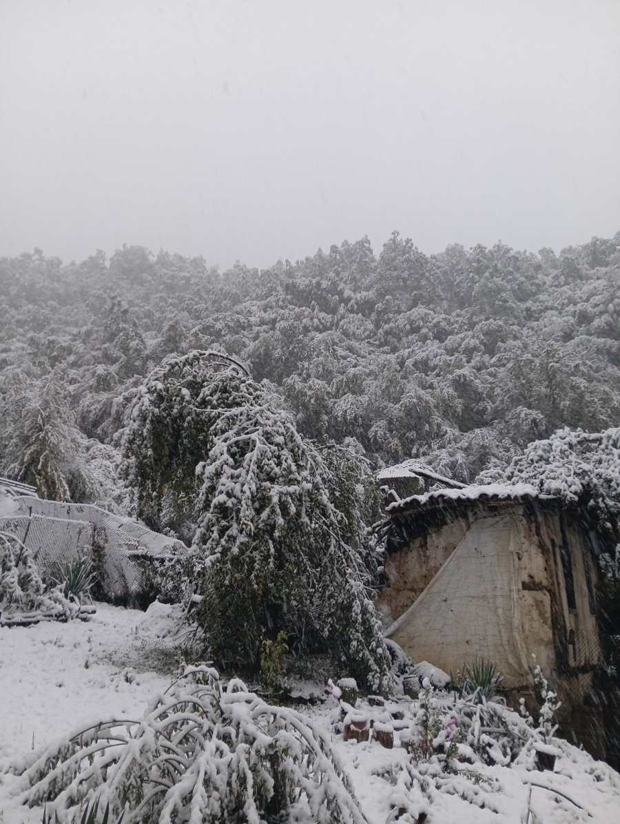 Бедствено положение и на територията на община Трън ! Задействана е системата BG-ALERT