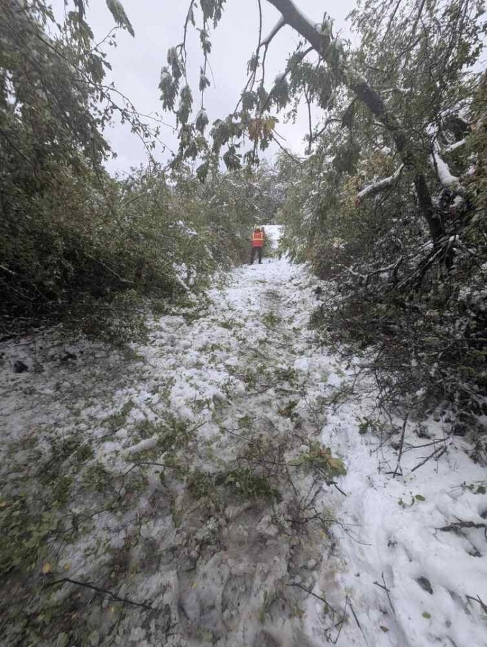 Евакуираха семейство от земенското село Одраница, жената е със 100 процента инвалидност