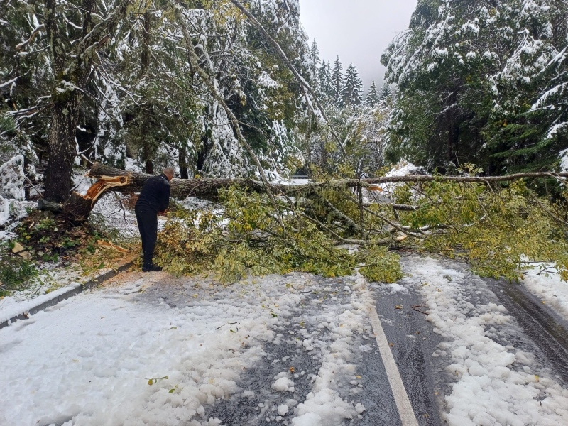 Служители на Дирекция „Национален парк Пирин“ разчистиха пътя от Банско до хижа \