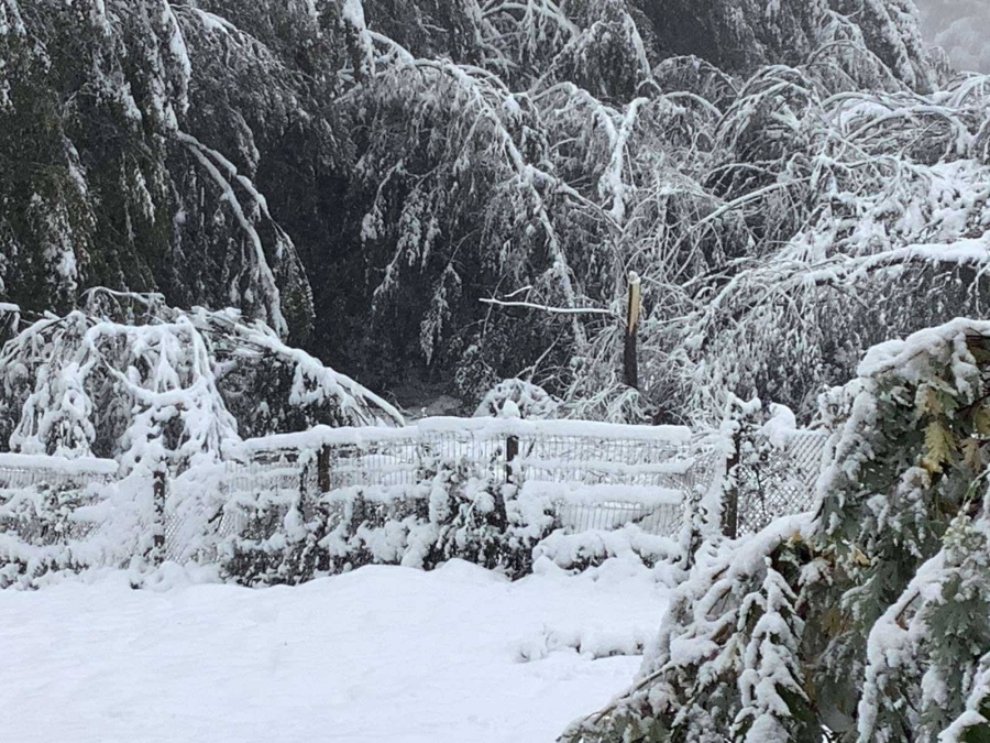 Десетки пътища в община Трън остават непроходими!Бедственото положение остава в сила