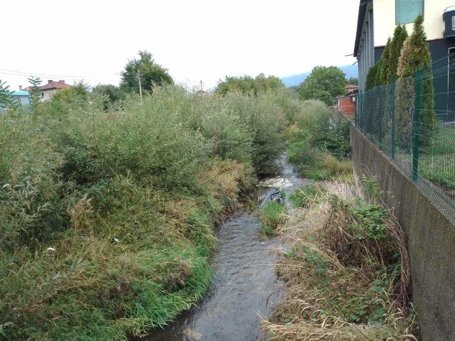 Чистят речните корита в Дупница