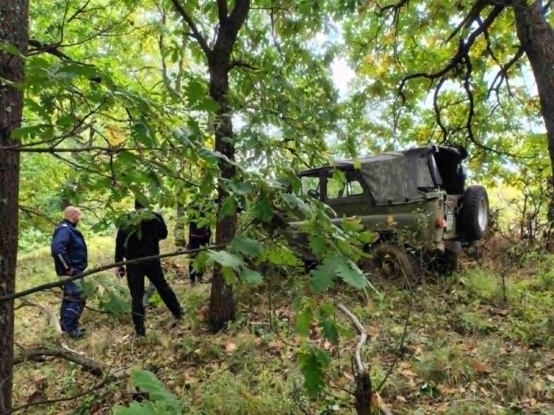 Арестуваха 64-годишен за незаконна сеч в горския фонд на село Рударци