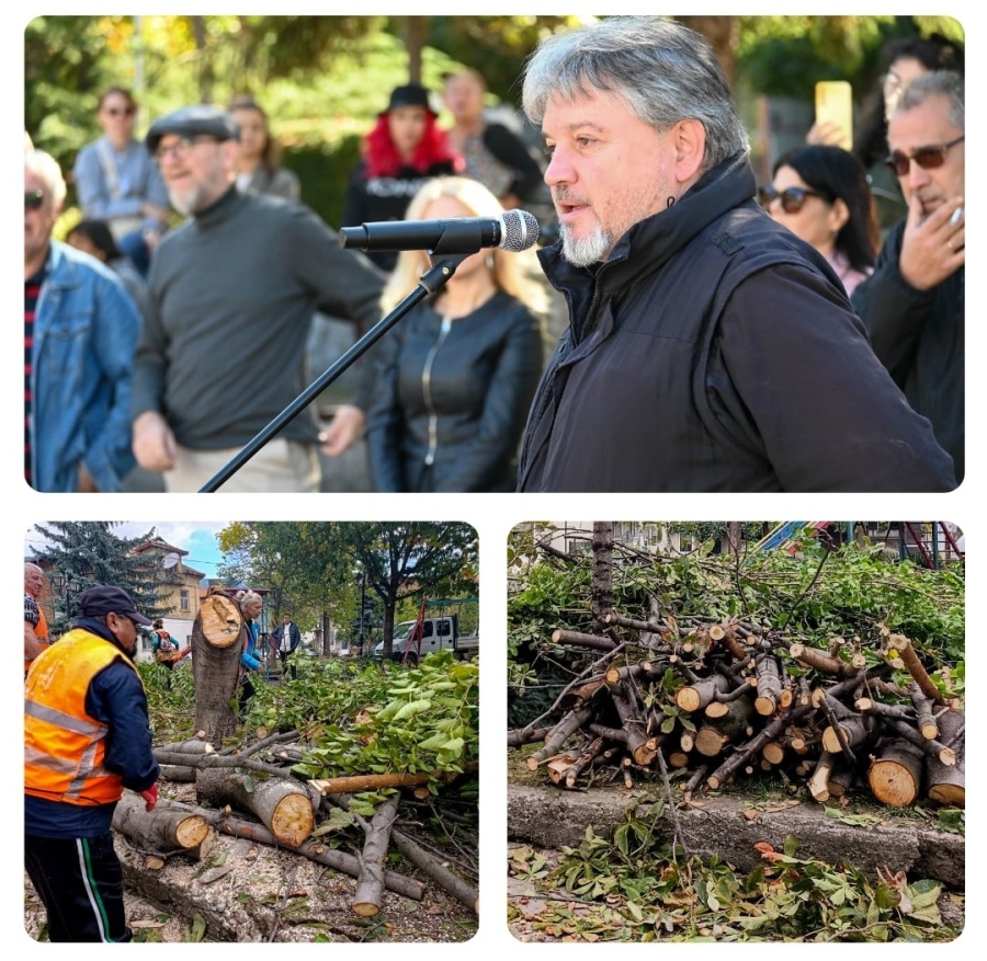 Асен Кирилов в отворено писмо до кмета на Дупница:  Прекратете незабавно всяко унищожение на дървета
