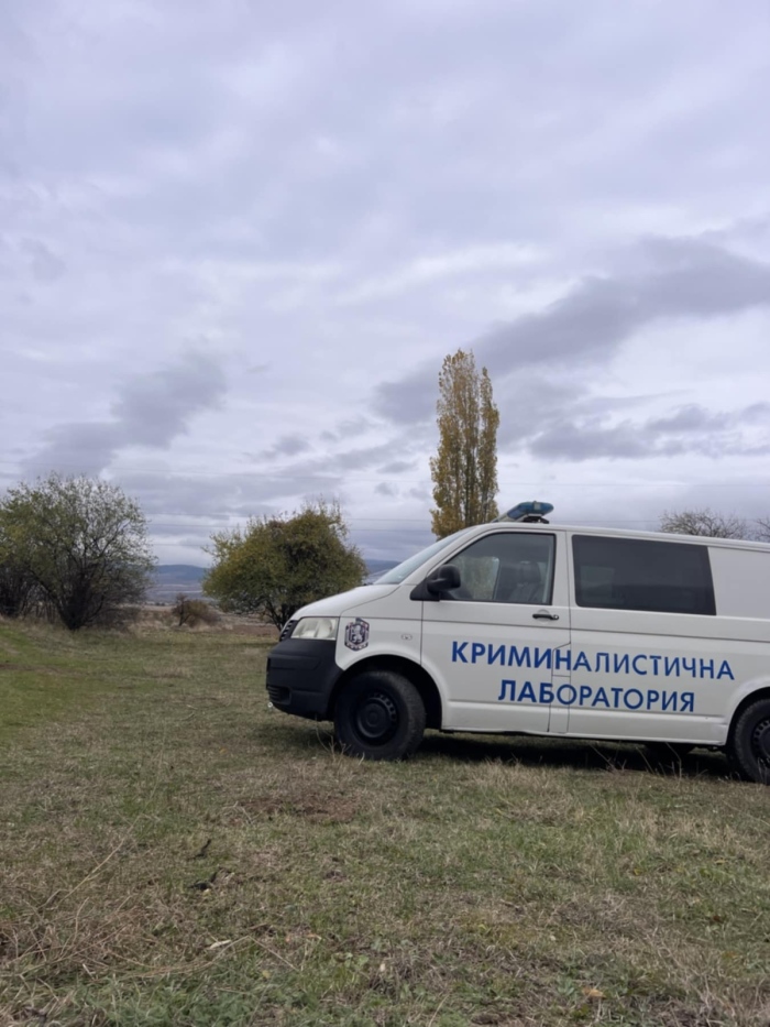 Жестоко убийство на кучета потресе Сапарево, откри ги жената, която се грижи за тях