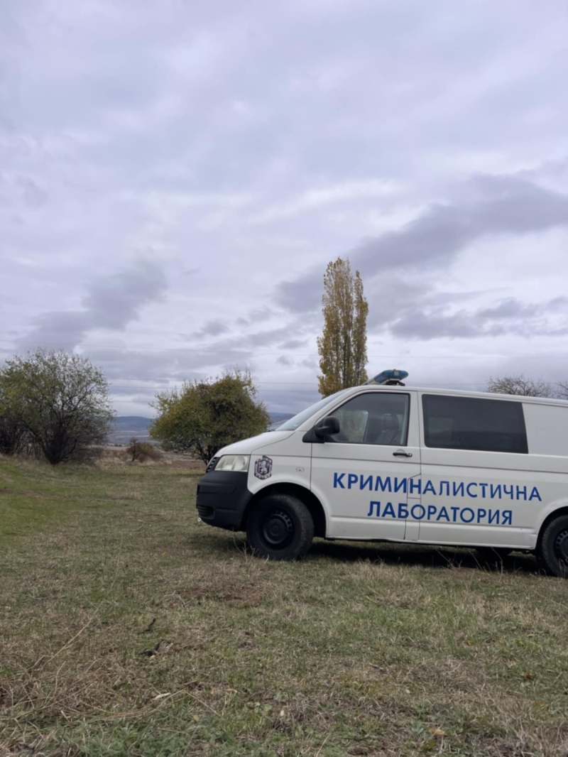 Жестоко убийство на кучета потресе Сапарево, откри ги жената, която се грижи за тях