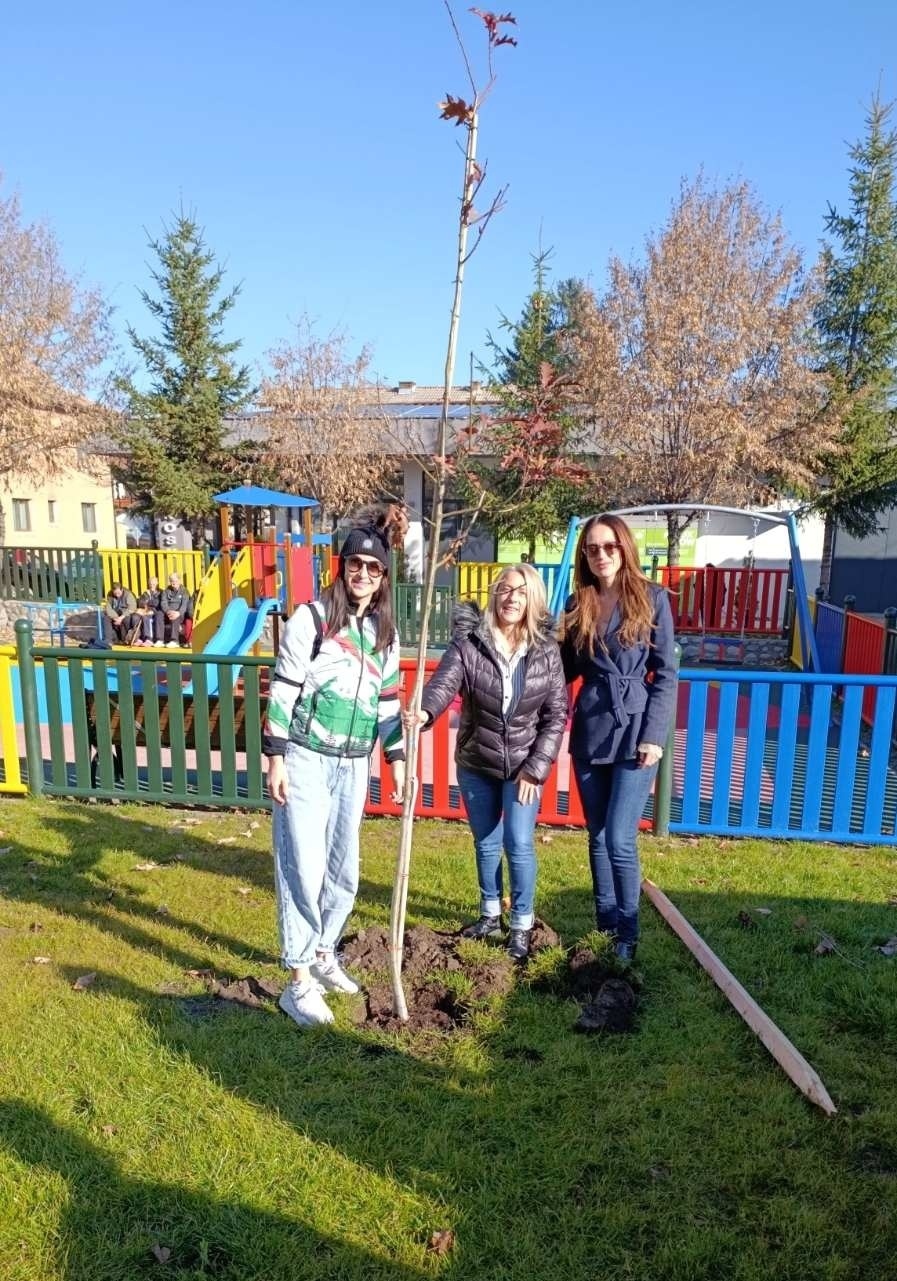 С приходи от билети по биатлон засадиха нови дръвчета в Банско