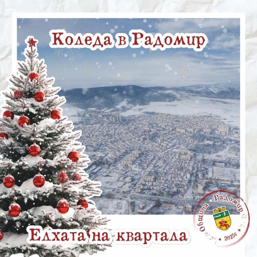 В Радомир садят и украсяват елха във всеки квартал