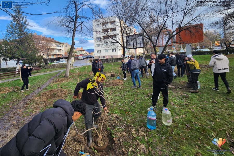 Община Кюстендил засажда 200 нови дървета в есенната залесителна кампания