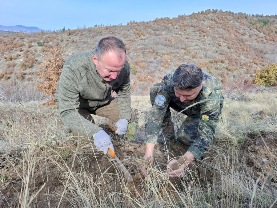 Хиляди нови дръвчета край Симитли! \
