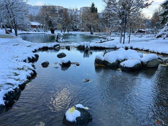 За първи път в парка на Разлог: Коледната елха ще грейне на 5 декември