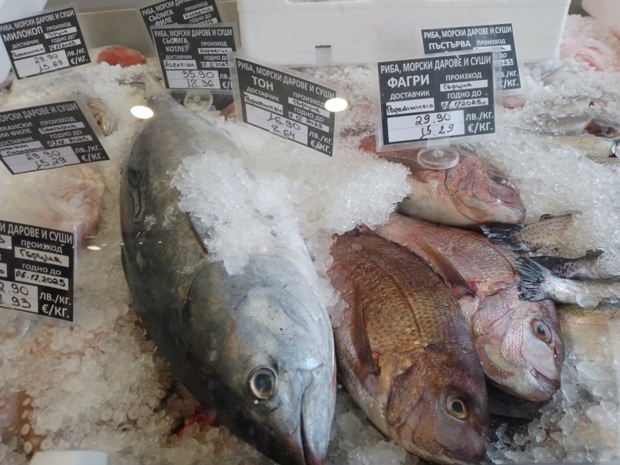 Шаранът остава предпочитаната риба за Никулден в Дупница