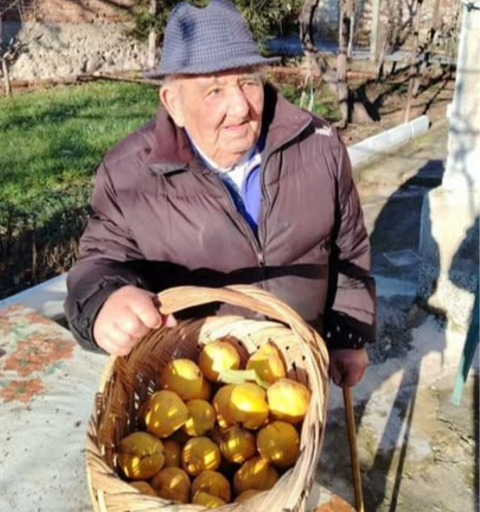 Дюлята като природен защитник срещу грипа