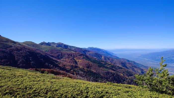 Природен парк \